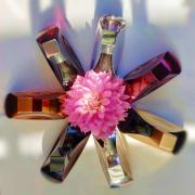 ✨ Perfume Liquid Gold Euphoria – Lujo y Sensualidad en Cada Rocío ✨